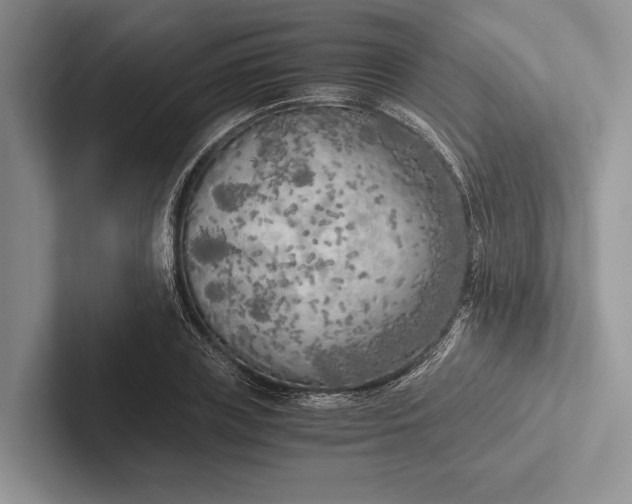 X0000103130835200809051607