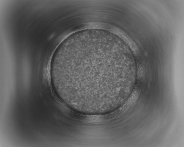 X0000103130836200809051607