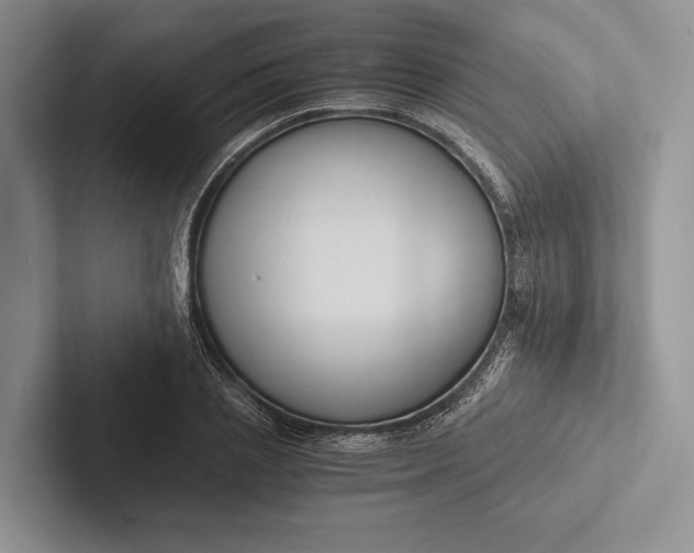 X0000103130837200809051607