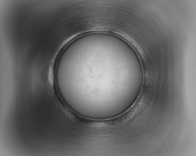 X0000103130838200809051607