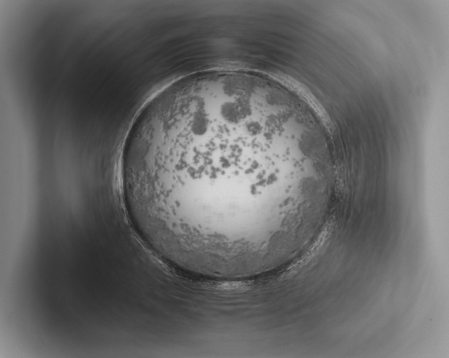 X0000103130839200809051607