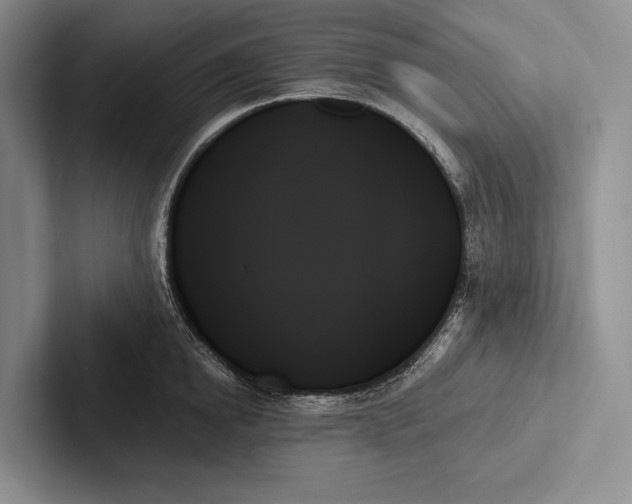 X0000103130854200809051607