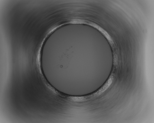 X0000103130856200809051607