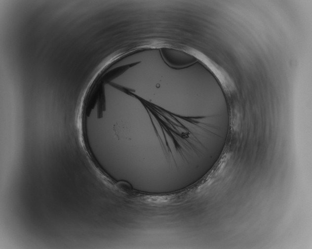 X0000103130861200809051608