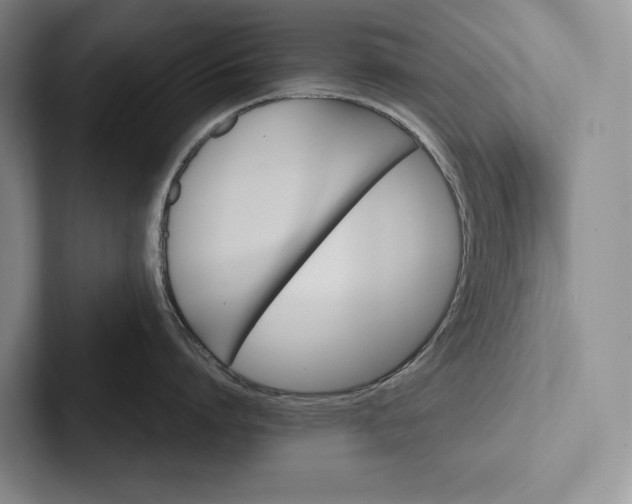 X0000103130864200809051608