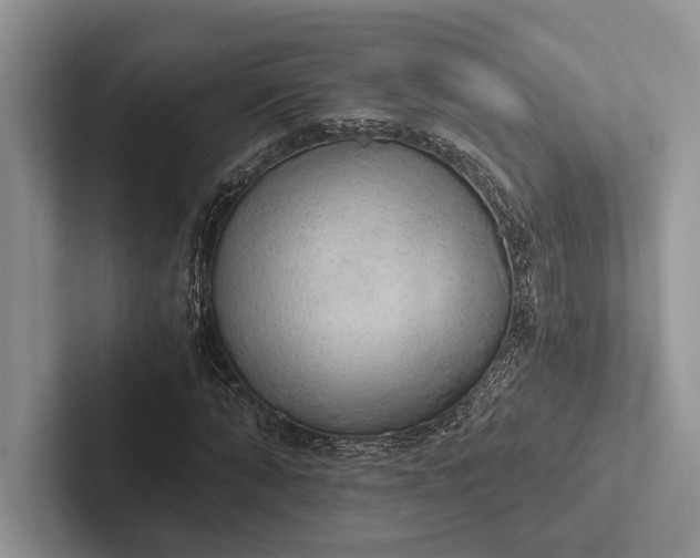 X0000103130870200809051607