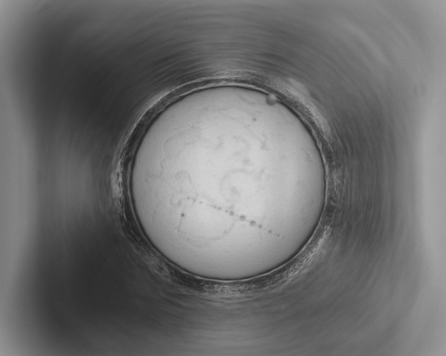 X0000103130875200809051607
