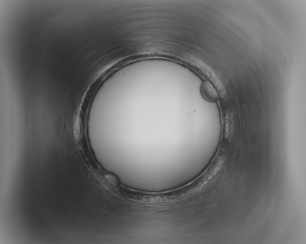 X0000103130876200809051607