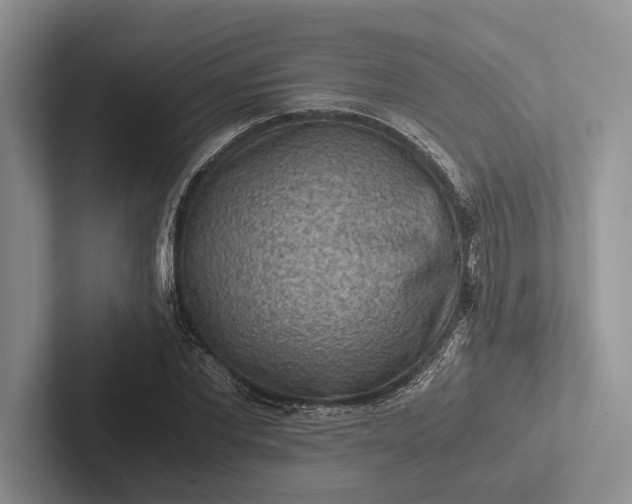 X0000103130877200809051607
