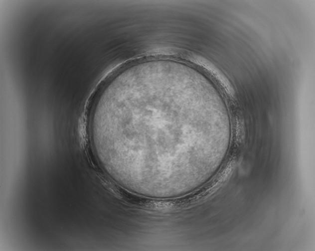 X0000103130878200809051607