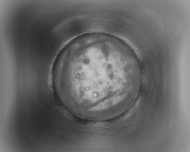 X0000103130879200809051607