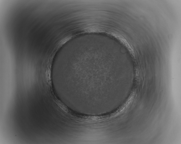 X0000103130881200809051607