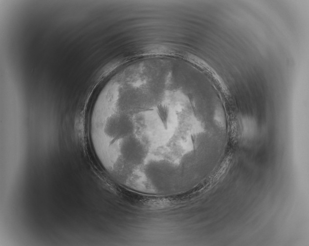 X0000103130882200809051607