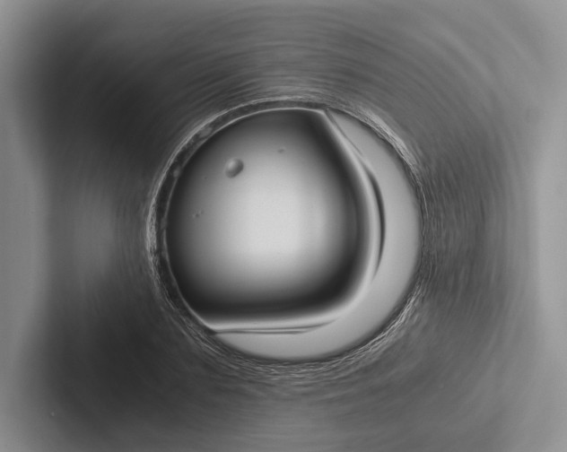 X0000103130883200809051607