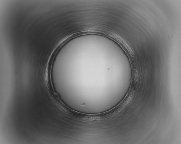 X0000103130884200809051607