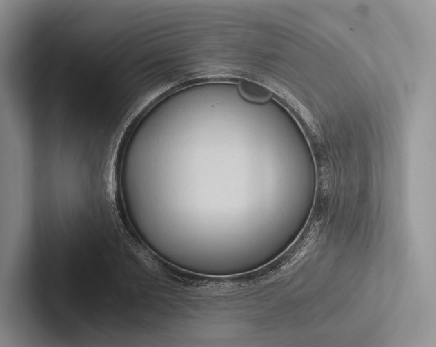 X0000103130885200809051607