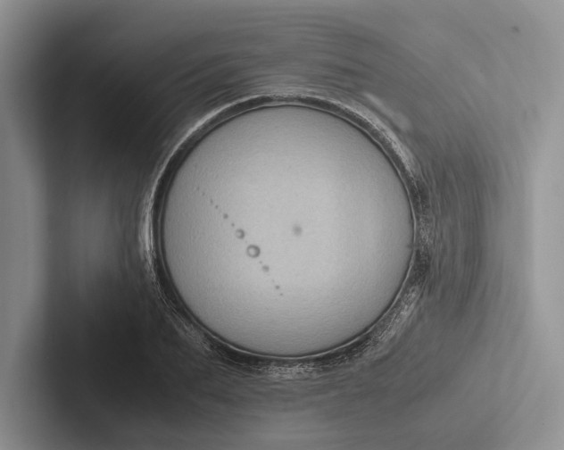 X0000103130887200809051607