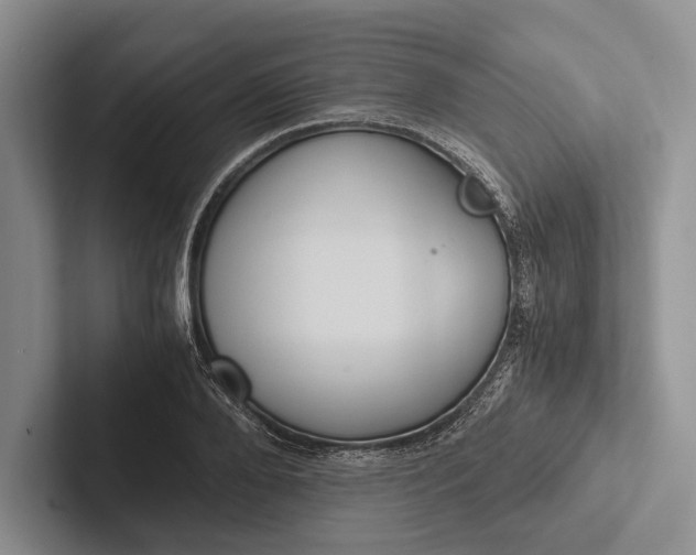 X0000103130888200809051607