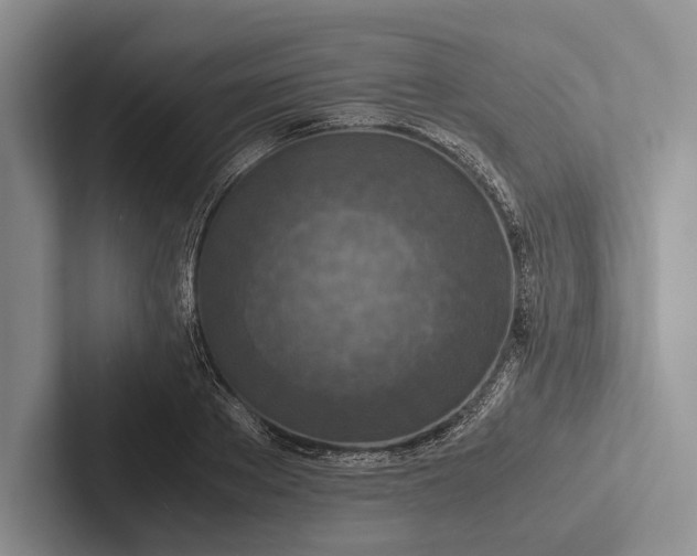 X0000103130889200809051607