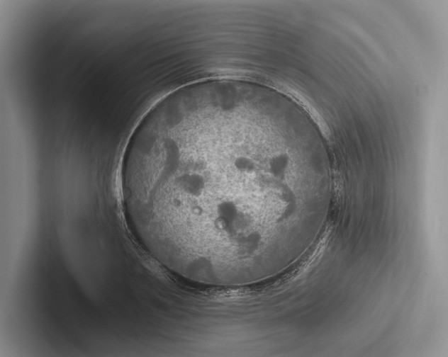 X0000103130891200809051607