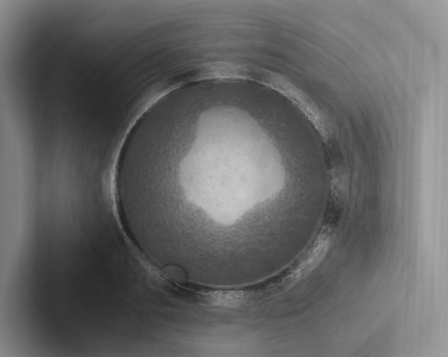 X0000103130893200809051607
