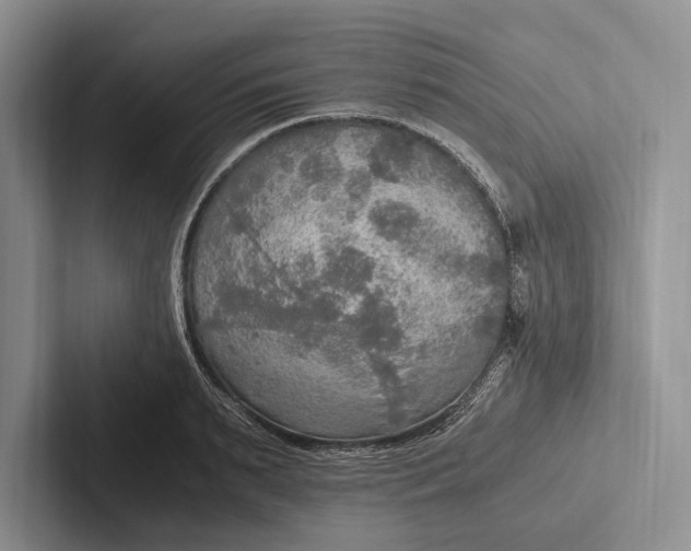 X0000103130895200809051606