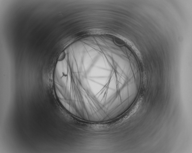 X0000103130897200809051606