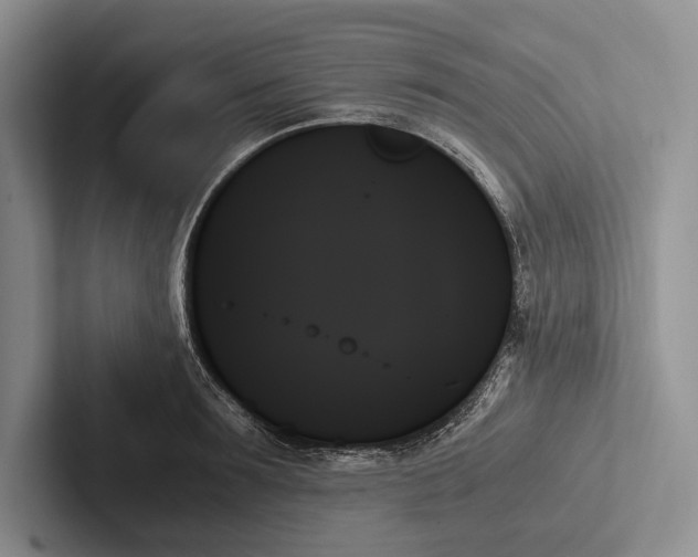 X0000103130899200809051606