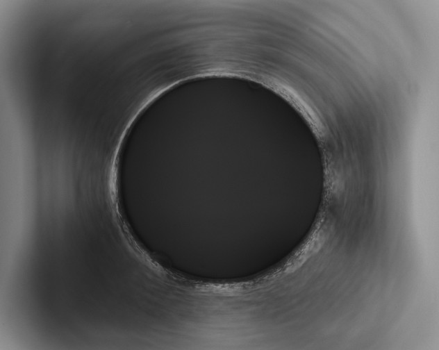 X0000103130900200809051606