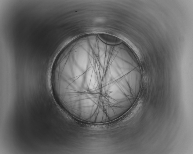 X0000103130901200809051606