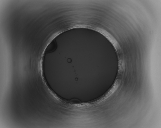 X0000103130906200809051606