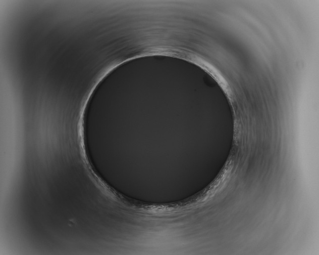 X0000103130907200809051606