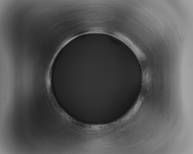 X0000103130908200809051606