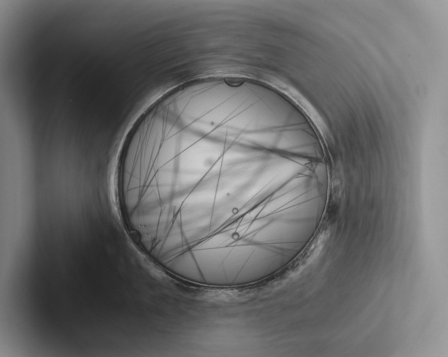 X0000103130909200809051606