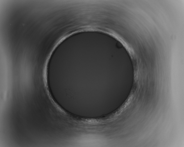 X0000103130911200809051606