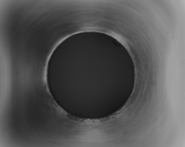 X0000103130912200809051606