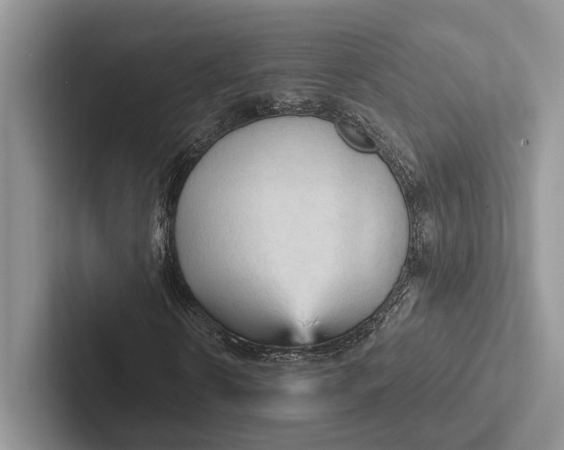 X0000103130914200809051606
