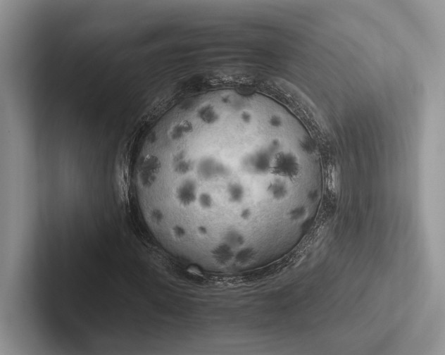 X0000103130915200809051606