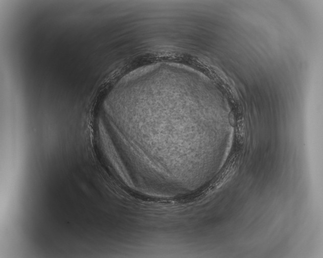 X0000103130916200809051606