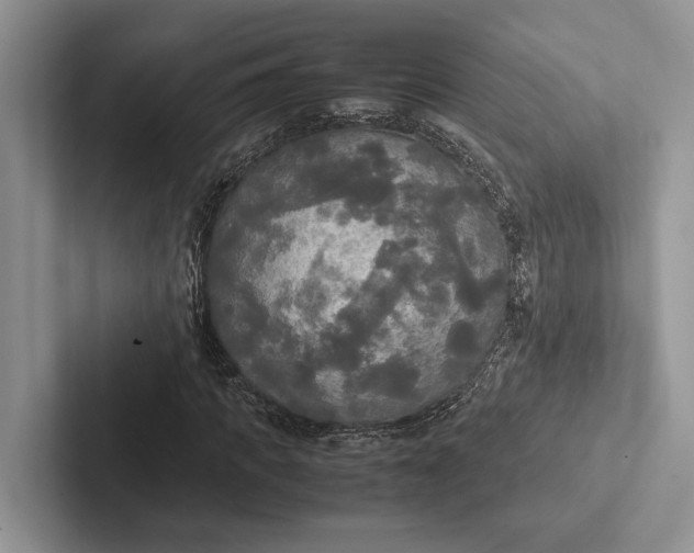 X0000103130917200809051606