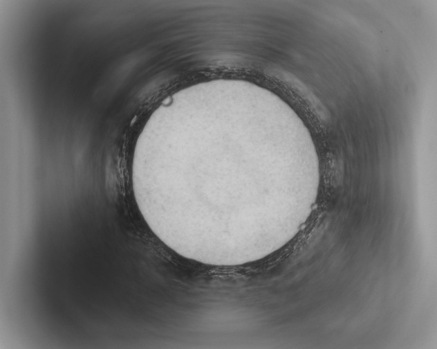 X0000103130918200809051606