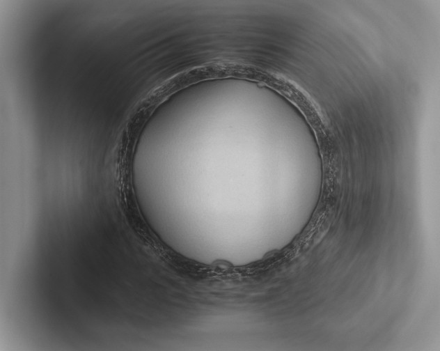 X0000103130919200809051606