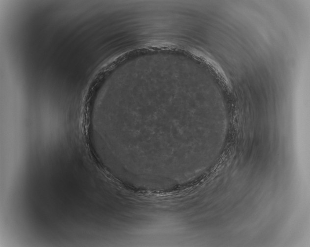 X0000103130920200809051606