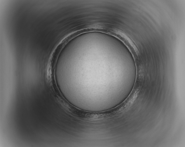 X0000103130923200809051606