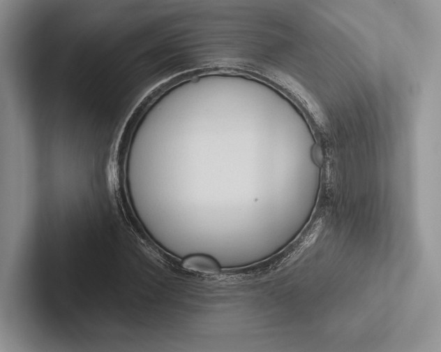 X0000103130924200809051606