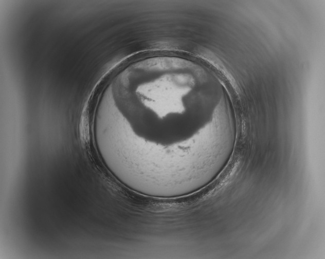 X0000103130925200809051606