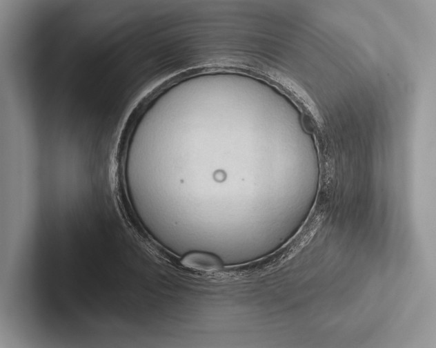 X0000103130928200809051606