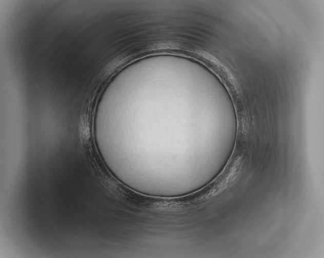 X0000103130929200809051606
