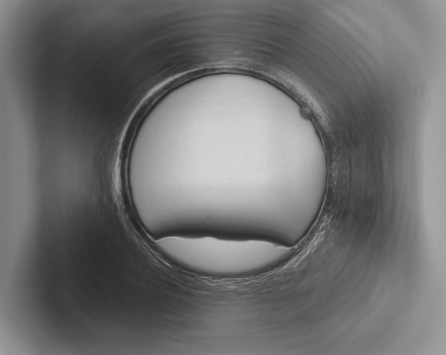 X0000103130932200809051606