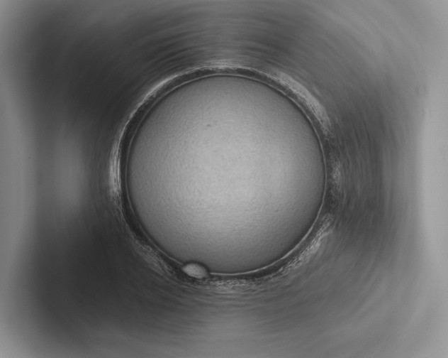 X0000103130934200809051606
